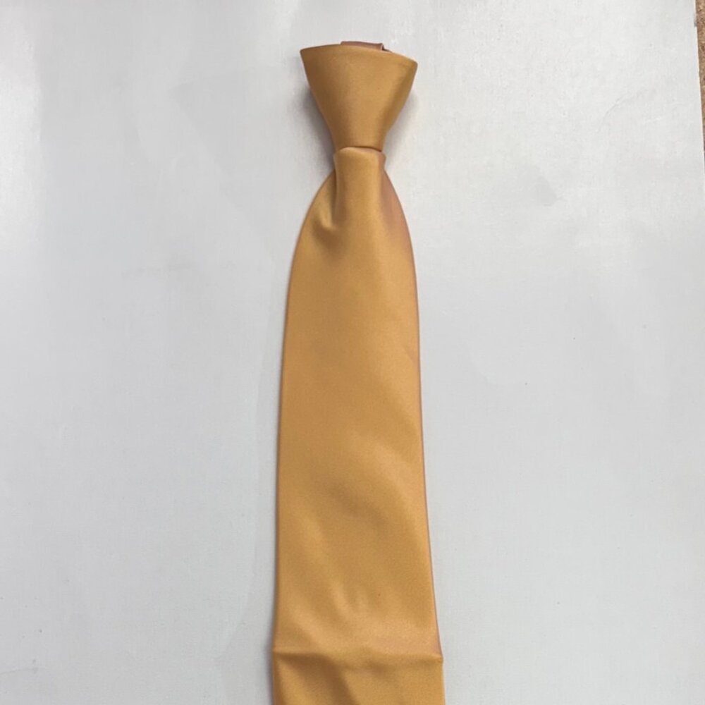 Moda Di Raza Mens Zipper Tie